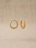 Trendy Hoops- 21 Carat Gold Plated- Hypoallergenic✨