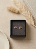 Star Light Studs✨