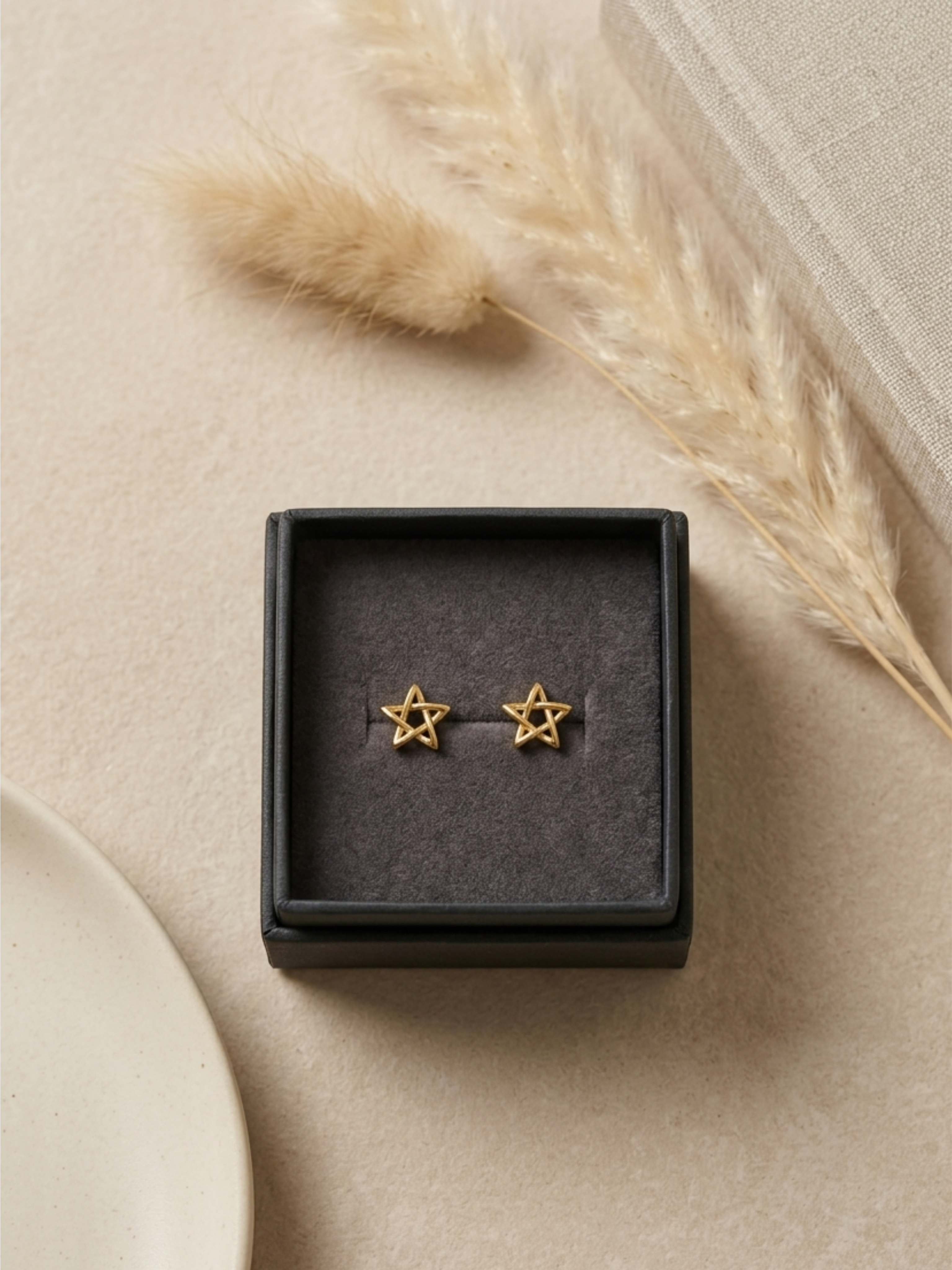 Star Light Studs✨