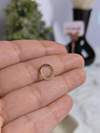 Front zircon layer Nosering✨